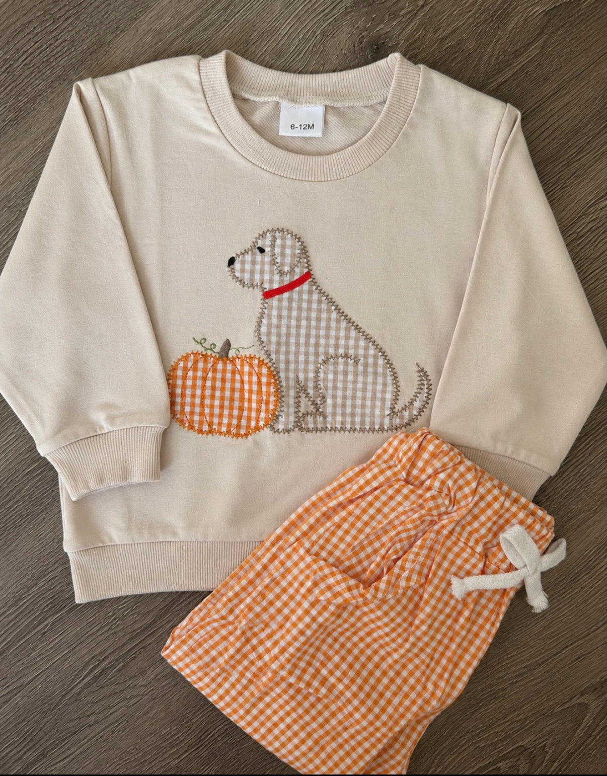Dog pumpkin set