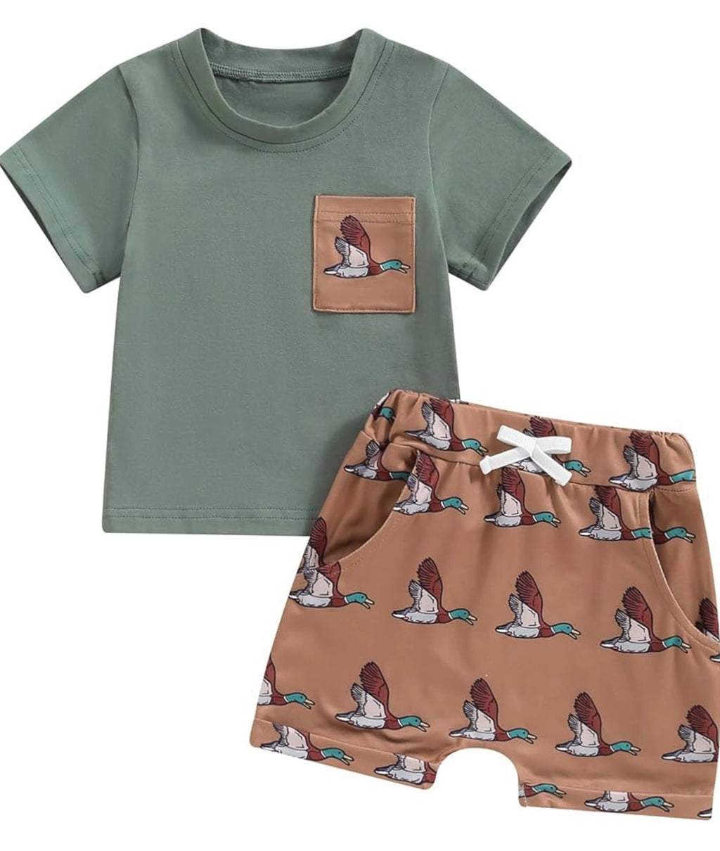 Green/Brown Duck Set